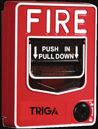 Addressable Dual Action Pull Stations - TRIGA