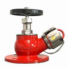 [Landing valve] 2 1/2&quot; Landing valve, Flanged